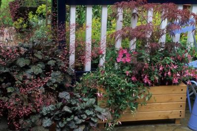 【ガーデニング】初心者でも簡単！「寄せ植え」が映える草丈＆草姿の組み合わせ（サムネイル画像8）