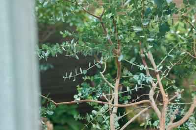 60代「ずぼら」でもできる！小さな暮らしの工夫と楽しみ方【文筆家・青木美詠子さん】（サムネイル画像5）