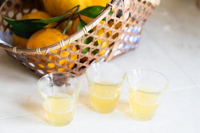 元ミス日本 伊藤千桃さんの葉山での暮らし「たくさん実った夏みかん、皮も捨てずに活用します」（サムネイル画像4）