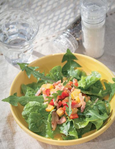 【ガーデニング】育てて楽しい多年草ハーブ【ダンデライオン】の栽培方法と活用アイデア3選（サムネイル画像7）