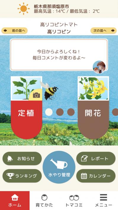 トマト栽培サポートアプリ「トマサポ！」の概要（サムネイル画像）