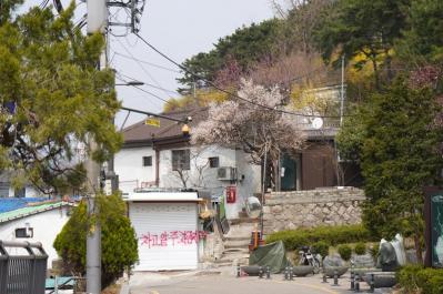 チャウヌの新境地が見られる！ ドラマ「ワンダフルワールド」のロケ地・梨花洞壁画村で韓国ののどかな風景に出合う（サムネイル画像17）