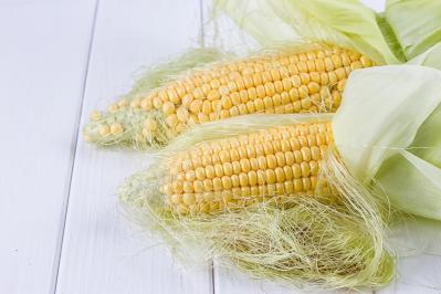見逃せない！とうもろこしのひげの栄養価と、美味しく飲めるコーン茶の作り方