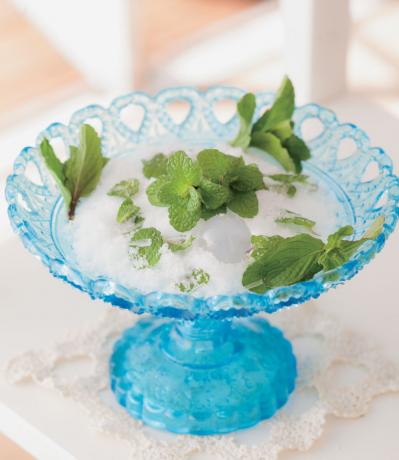 【ガーデニング】育てて楽しい多年草ハーブ【ミント】の栽培方法と活用アイデア3選（サムネイル画像8）