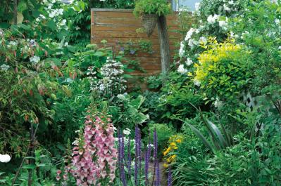 【ガーデニング】園芸家・青木純子さんの庭を美しくキープする春の作業「咲き終わった花の整理」「支柱立て」「鉢植えの夏越し準備」（サムネイル画像13）