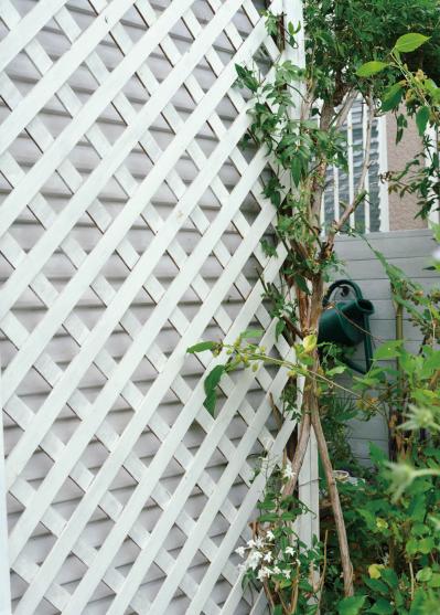 【ガーデニング】園芸家・青木純子さんの庭を美しくキープする春の作業「咲き終わった花の整理」「支柱立て」「鉢植えの夏越し準備」（サムネイル画像9）