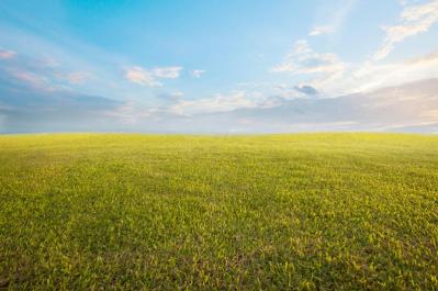 【雑種タロの実話 後編】愛犬が認知症と診断されて、悲しいというより、なぜかうれしい気持ちになった。「本当に長い間、そばにいてくれてありがとう」（サムネイル画像3）