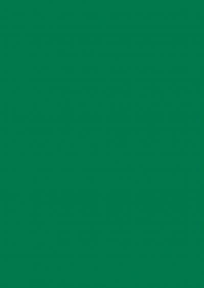 【色の名前クイズ】どっちが「常磐色（ときわいろ）」？（サムネイル画像3）