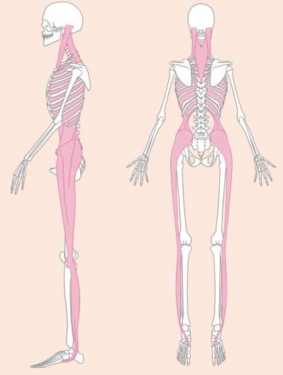 【ダイエット】Naokoさん流「下腹ぽっこり解消メソッド」簡単なのにお腹にしっかりアプローチできる（サムネイル画像2）