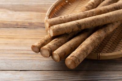 もったいない切り方をしていませんか？「ごぼう」の栄養を逃さないコツ