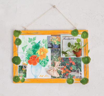 【ガーデニング】育てて楽しいハーブ【ナスタチウム】の栽培方法と活用アイデア2選（サムネイル画像8）