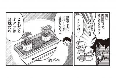 【マンガでわかる野菜づくり】初心者が買うべき土やプランターは？ 育てやすい苗の選び方は？