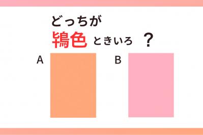 【クイズ】どっちの色が「鴇色（ときいろ）」？