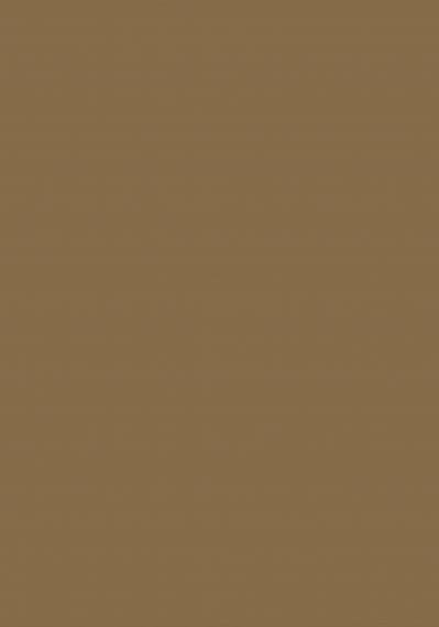 【色の名前クイズ】どっちが「生壁色（なまかべいろ）」？（サムネイル画像2）