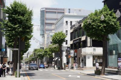 カロスキル（サムネイル画像）