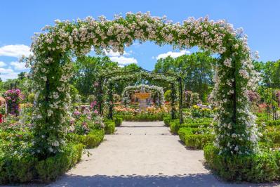 【ガーデニング】バラ満開！ 関西以南のおすすめバラ園6選（サムネイル画像3）