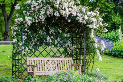 【ガーデニング】バラ満開！ 関西以南のおすすめバラ園6選（サムネイル画像2）