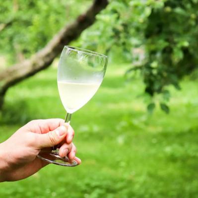 フードスタイリスト黒木優子さんのお取り寄せ【高原の自然のめぐみ】 開田高原のとうもろこしとマルカメ果樹園のシードル（サムネイル画像4）