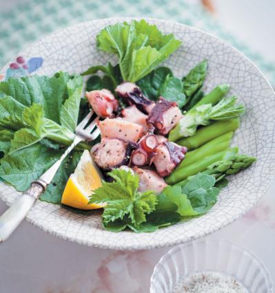 【ガーデニング】育てて楽しい多年草ハーブ【マロウ】の栽培方法と活用アイデア3選（サムネイル画像8）