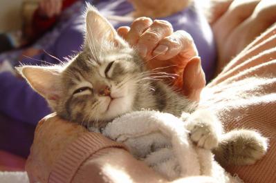 頼れる人がいない私…“おひとりさま”が抱える身元保証の不安と死後のこと　井戸美枝さんがアドバイス（サムネイル画像2）