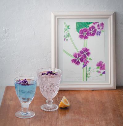 【ガーデニング】育てて楽しい多年草ハーブ【マロウ】の栽培方法と活用アイデア3選（サムネイル画像7）