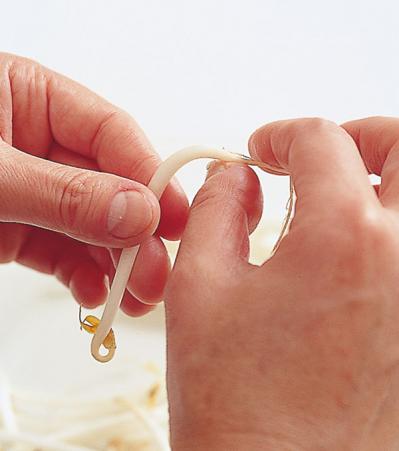 「もやし」をゆでるときに塩のほかに加えるといいものは？栄養を守る調理法（サムネイル画像3）