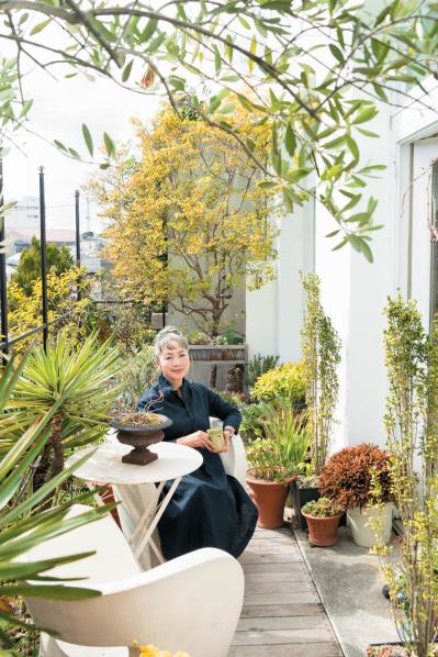 アカバナトキワマンサク（サムネイル画像）