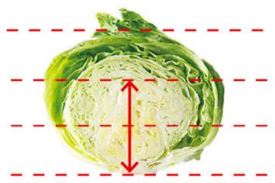 知ってる？「キャベツ」の活性酸素除去力が約5倍に増える調理法（サムネイル画像3）