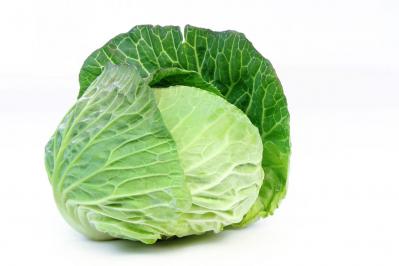 知ってる？「キャベツ」の活性酸素除去力が約5倍に増える調理法（サムネイル画像）