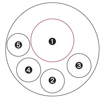【ガーデニング】次々に花が咲く！ 吉谷桂子さんの「ピンクのアメリカアジサイの寄せ植え」（サムネイル画像3）