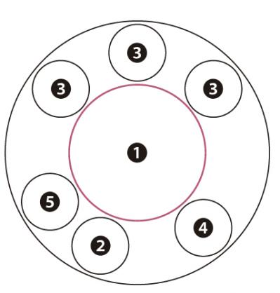 【ガーデニング】次々に花が咲く！ 吉谷桂子さんの「ピンクのアメリカアジサイの寄せ植え」（サムネイル画像5）