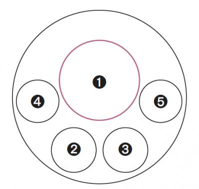 【ガーデニング】色の移ろいがすてき！ 吉谷桂子さんの「アンティークカラーのアジサイの寄せ植え」（サムネイル画像5）