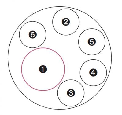 【ガーデニング】色の移ろいがすてき！ 吉谷桂子さんの「アンティークカラーのアジサイの寄せ植え」（サムネイル画像3）