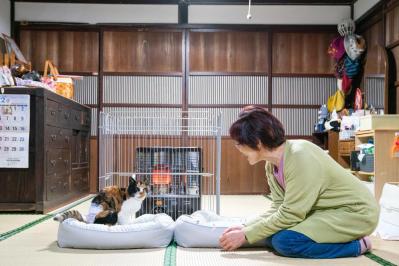 【25歳・奇跡の長寿猫】が波乱万丈の人生を変えてくれた。その物語とは？（サムネイル画像2）