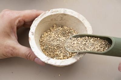 「おしゃれな色合いにキュンです」花に見立てた多肉植物の寄せ植えを作ってみよう（サムネイル画像8）