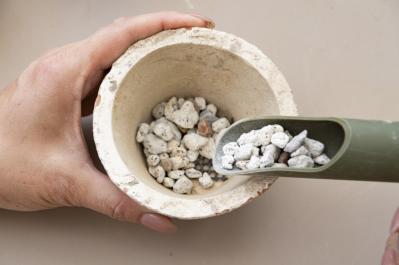 「おしゃれな色合いにキュンです」花に見立てた多肉植物の寄せ植えを作ってみよう（サムネイル画像7）