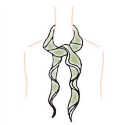 冷房対策にも！エレガントなスカーフの巻き方2選「ラッフル結び」と「固結び」（サムネイル画像6）