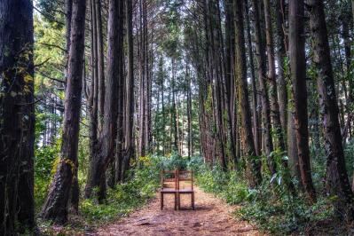 「シークレット・ガーデン」を久々に一気見。ヒョンビンのラメジャージにどうしようもなく惹かれる1〜5話レビュー【韓国ドラマ】（サムネイル画像3）