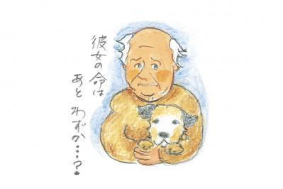 【中野翠のCINEMAコラム】800kmもの距離をノラ犬とともに歩いて旅する理由とは？『ハロルド・フライのまさかの旅立ち』