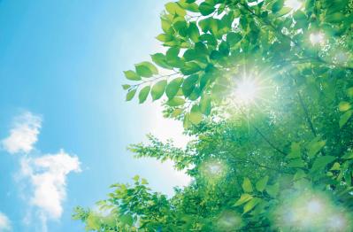 ベストセラー作家【アズ直子さん】おすすめ！ 人生が上向く「ボタニカル散歩」とは？（サムネイル画像11）