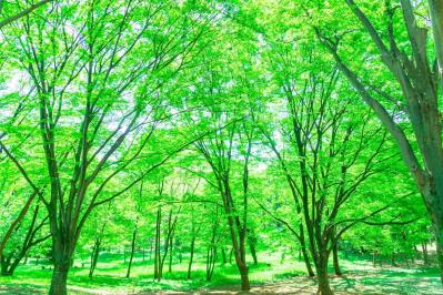 60歳から幸福度を上げるための「10の習慣」とは？【幸福学】の専門家がアドバイス