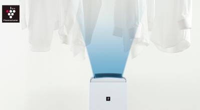 梅雨時の部屋干しの強い味方【衣類乾燥除湿機】3選。これで生乾き臭ゼロ！ 家電のプロ・神原サリーさんおすすめ（サムネイル画像7）