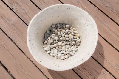 【寄せ植えガーデニング】育てやすく、初心者でもOK！ サラダ用ハーブのコンテナ（サムネイル画像10）