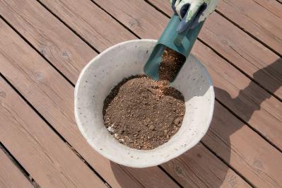 【寄せ植えガーデニング】育てやすく、初心者でもOK！ サラダ用ハーブのコンテナ（サムネイル画像11）