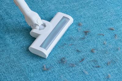 しっかり吸い込む、吸引力にこだわったサイクロン式。ゴミが見やすいグリーンLEDも搭載（サムネイル画像）