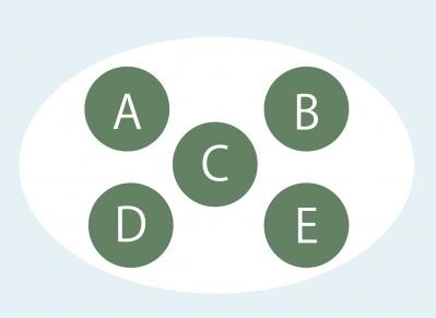 【寄せ植えガーデニング】育てやすく、初心者でもOK！ サラダ用ハーブのコンテナ（サムネイル画像19）