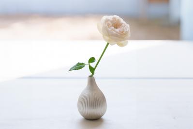 「どんなお花もこれに活けたら長持ちします」編集部員も惚れたフラワーベース、その秘密とは？（サムネイル画像6）