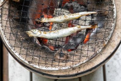 【虎に翼】滝行もスルメもリアルだった！「家庭裁判所の父」と呼ばれた多岐川幸四郎（滝藤賢一）のモデルとされる宇田川潤四郎の半生とは（サムネイル画像3）