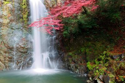 【虎に翼】滝行もスルメもリアルだった！「家庭裁判所の父」と呼ばれた多岐川幸四郎（滝藤賢一）のモデルとされる宇田川潤四郎の半生とは（サムネイル画像2）