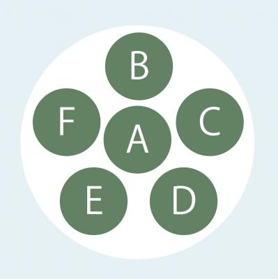 【寄せ植えガーデニング】長く育てて楽しむ！ 多年草・樹木ハーブのコンテナ（サムネイル画像8）